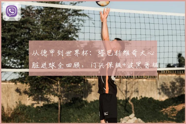 从德甲到世界杯：塔巴科维奇大心脏进球全回顾，门兴保级+波黑晋级双线制胜