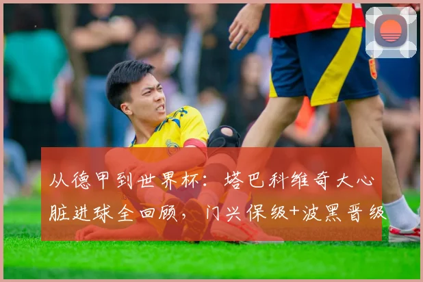 从德甲到世界杯：塔巴科维奇大心脏进球全回顾，门兴保级+波黑晋级双线制胜